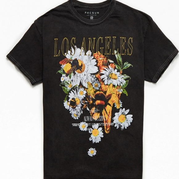 PacSun Other - 🔥 50% OFF - PacSun Los Angeles Vintage Short Sleeve T-Shirt, Size Small